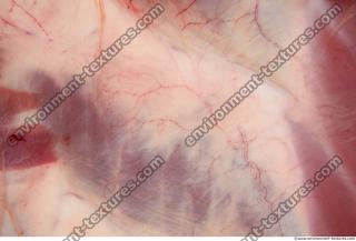 Photo Textures of RAW Beef Meat